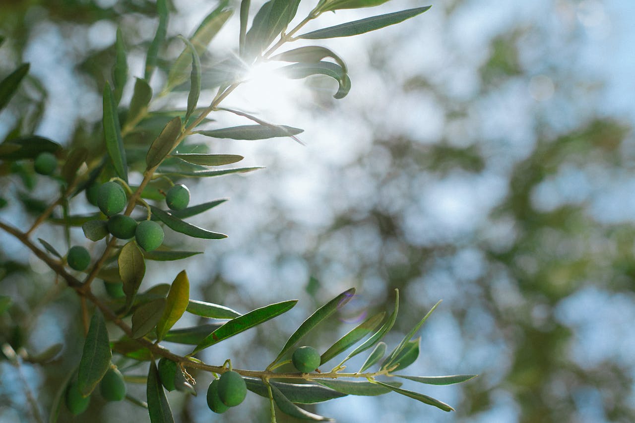 pexels-orlovamaria-4946875.jpg